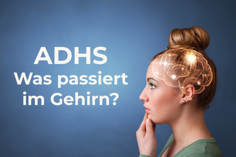 Einblick Bei ADHS: Was Passiert Im Gehirn? | ADHS Kompakt E.V.